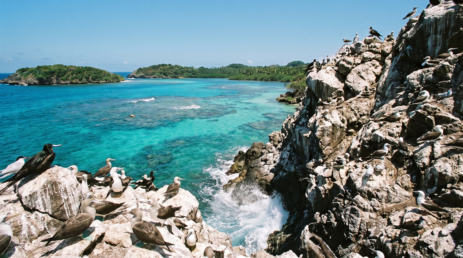 Alberca infinita con vista a la Bahía de Banderas en un resort todo incluido de Puerto Vallarta